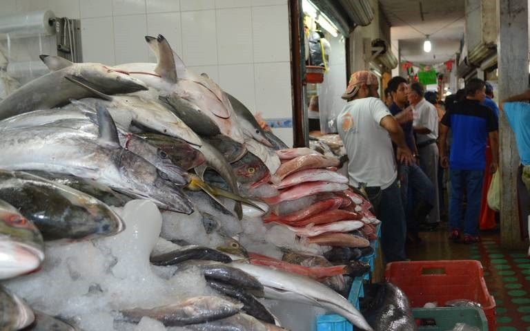Expertos de la UNAM participar�n en mejora de pesquer�as comerciales en Tamaulipas para establecer fechas correctas de veda