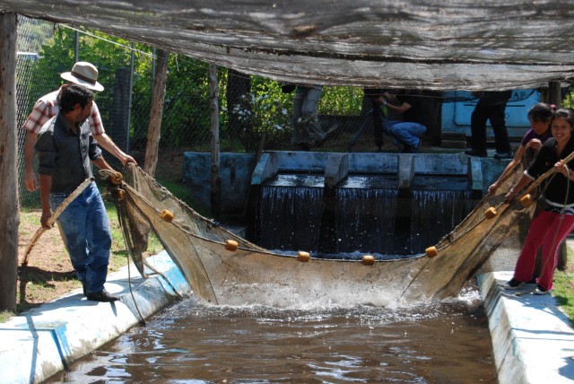 M�xico quiere aumentar la producci�n y productividad de la acuicultura a peque�a escala