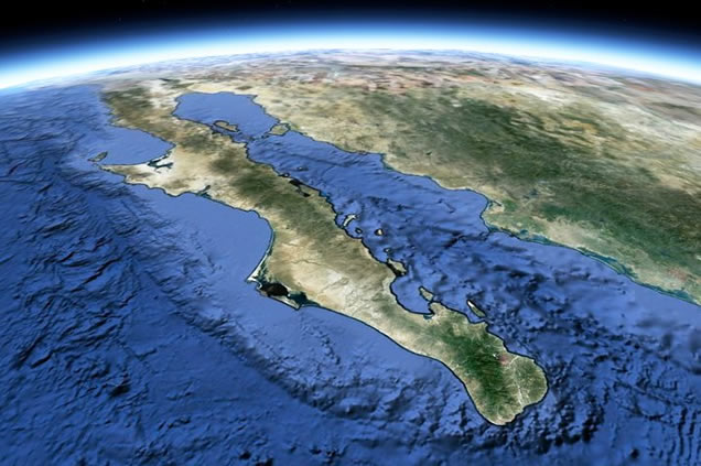 Ubican zonas en Golfo de California con alto potencial acu�cola