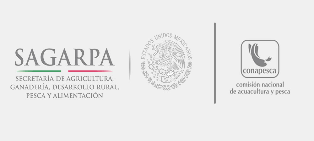Se publica el Acuerdo por el que se dan a conocer las Reglas de Operaci�n de los programas de la SAGARPA para el ejercicio fiscal 2015.