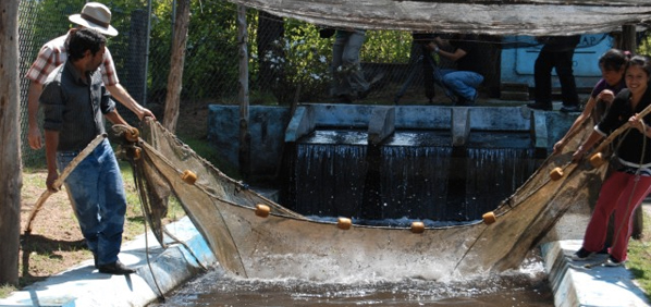 Identificadas 20 millones de hect�reas con alto potencial productivo para el desarrollo de la acuicultura en M�xico