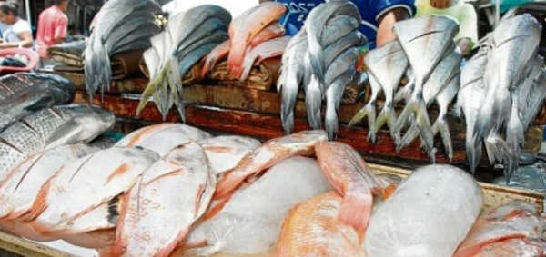 Comercializar�n 1,500 toneladas de pescados y mariscos en Semana Santa
